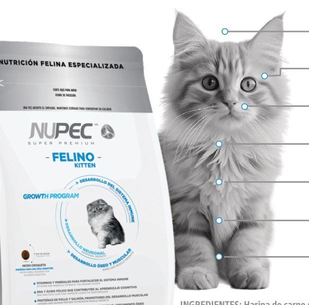 Bulto de alimento NUPEC Felino Kitten